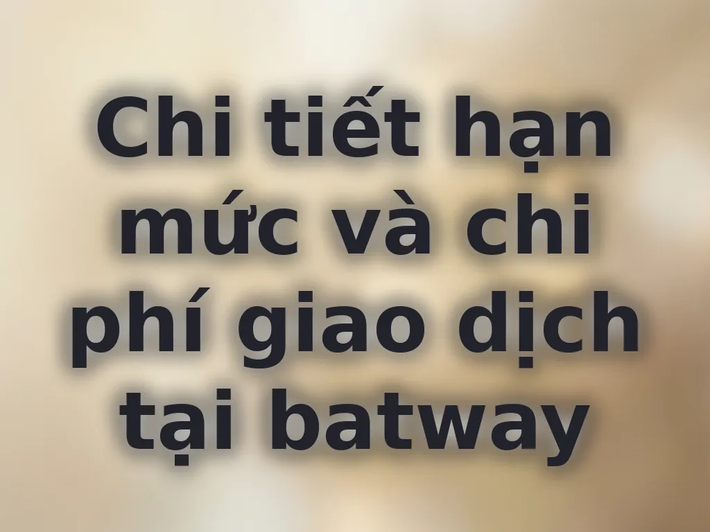 Chi tiết hạn mức batway